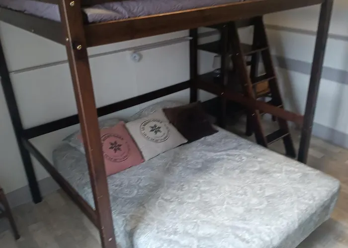 Le Mont Dore Centre Ville Appartement