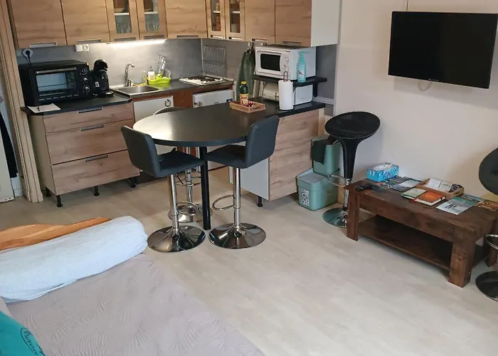 Le Mont Dore Centre Ville Appartement